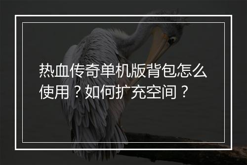 热血传奇单机版背包怎么使用？如何扩充空间？