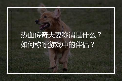热血传奇夫妻称谓是什么？如何称呼游戏中的伴侣？