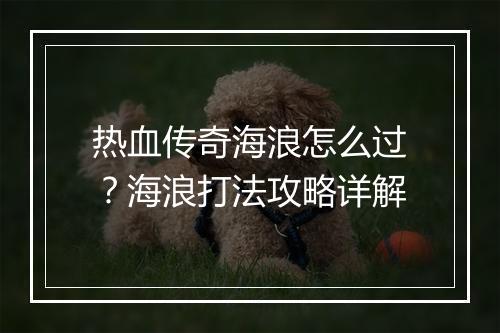 热血传奇海浪怎么过？海浪打法攻略详解