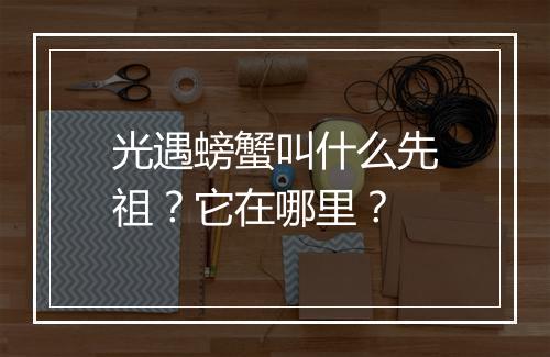 光遇螃蟹叫什么先祖？它在哪里？