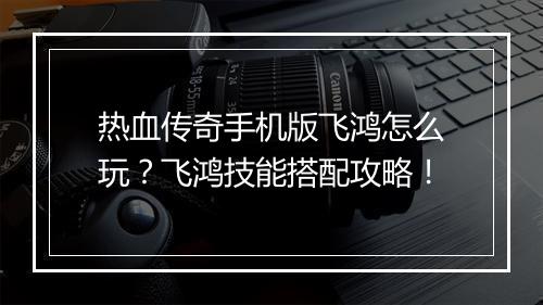 热血传奇手机版飞鸿怎么玩？飞鸿技能搭配攻略！