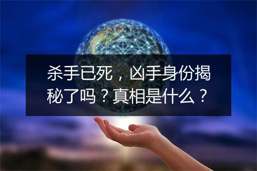 杀手已死，凶手身份揭秘了吗？真相是什么？