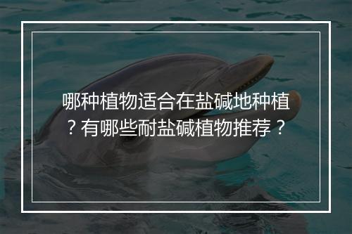 哪种植物适合在盐碱地种植？有哪些耐盐碱植物推荐？