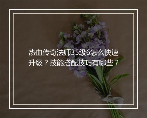 热血传奇法师35级6怎么快速升级？技能搭配技巧有哪些？