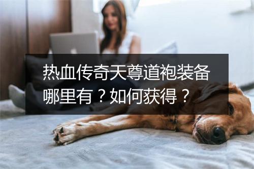 热血传奇天尊道袍装备哪里有？如何获得？