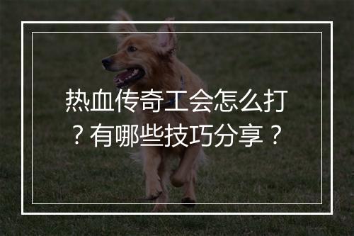 热血传奇工会怎么打？有哪些技巧分享？
