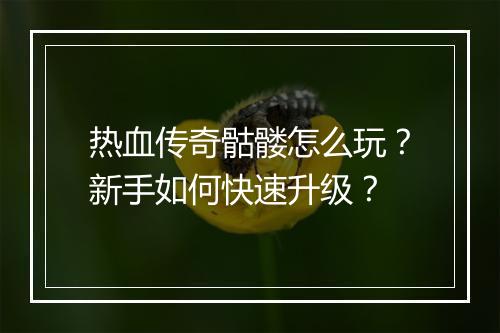 热血传奇骷髅怎么玩？新手如何快速升级？