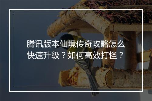 腾讯版本仙境传奇攻略怎么快速升级？如何高效打怪？