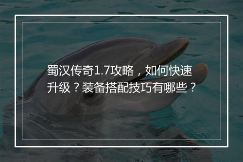 蜀汉传奇1.7攻略，如何快速升级？装备搭配技巧有哪些？