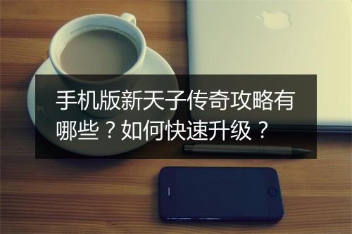 手机版新天子传奇攻略有哪些？如何快速升级？