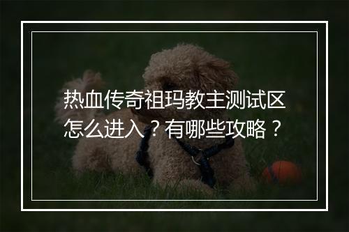 热血传奇祖玛教主测试区怎么进入？有哪些攻略？