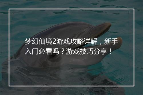 梦幻仙境2游戏攻略详解，新手入门必看吗？游戏技巧分享！