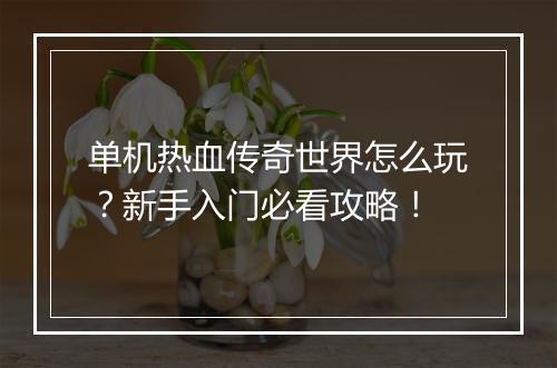 单机热血传奇世界怎么玩？新手入门必看攻略！