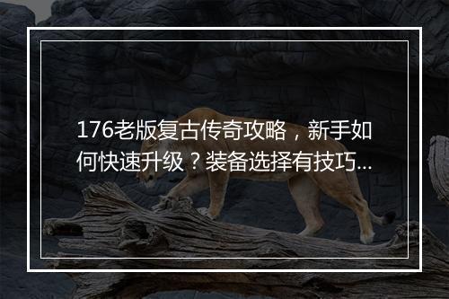 176老版复古传奇攻略，新手如何快速升级？装备选择有技巧吗？