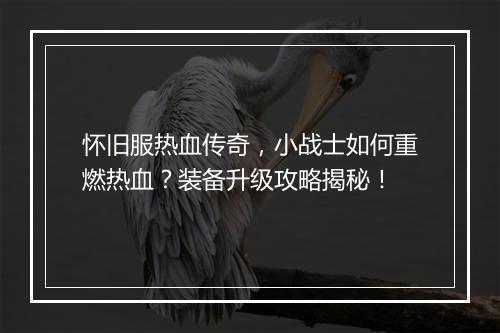 怀旧服热血传奇,小战士如何重燃热血?装备升级攻略揭秘!