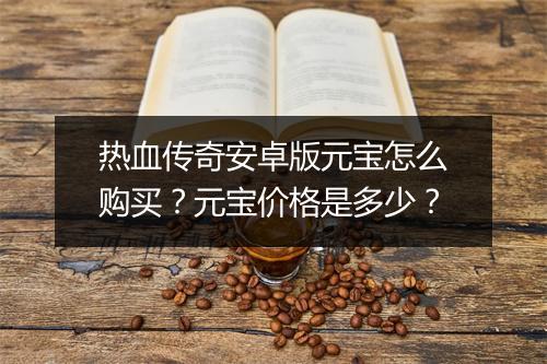 热血传奇安卓版元宝怎么购买？元宝价格是多少？