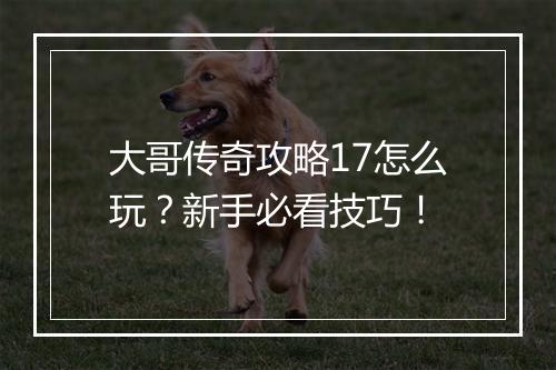 大哥传奇攻略17怎么玩？新手必看技巧！