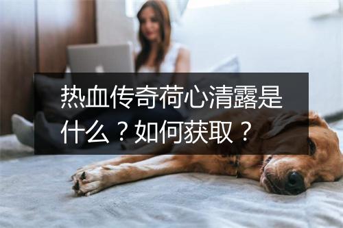 热血传奇荷心清露是什么？如何获取？