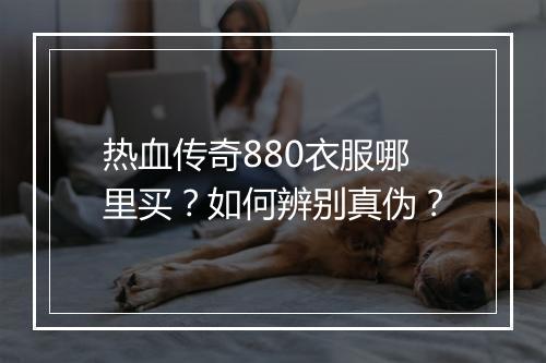 热血传奇880衣服哪里买？如何辨别真伪？