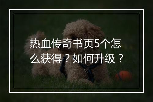 热血传奇书页5个怎么获得？如何升级？