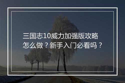 三国志10威力加强版攻略怎么做？新手入门必看吗？