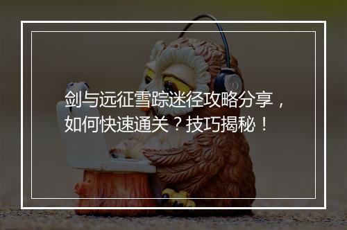 剑与远征雪踪迷径攻略分享，如何快速通关？技巧揭秘！