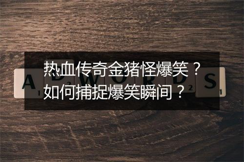 热血传奇金猪怪爆笑？如何捕捉爆笑瞬间？