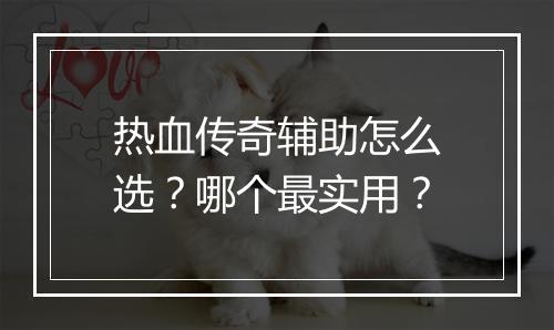 热血传奇辅助怎么选？哪个最实用？
