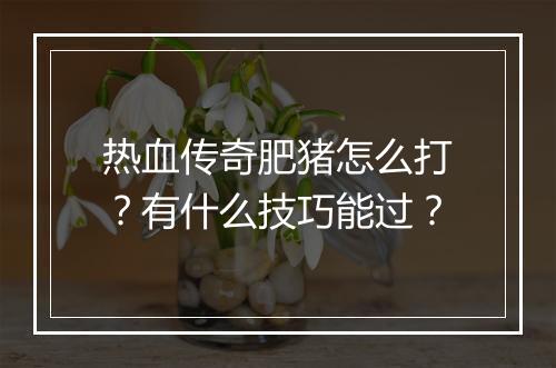 热血传奇肥猪怎么打？有什么技巧能过？