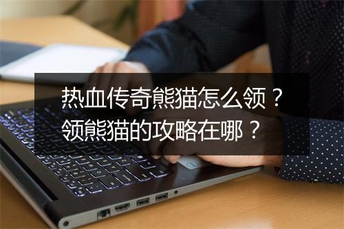 热血传奇熊猫怎么领？领熊猫的攻略在哪？