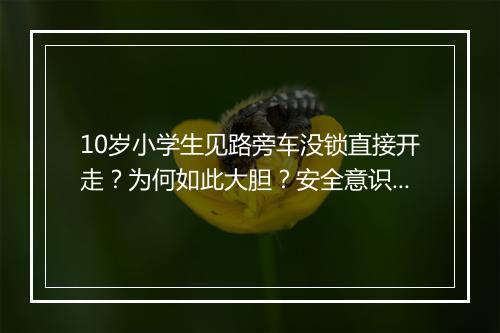 10岁小学生见路旁车没锁直接开走？为何如此大胆？安全意识如何？