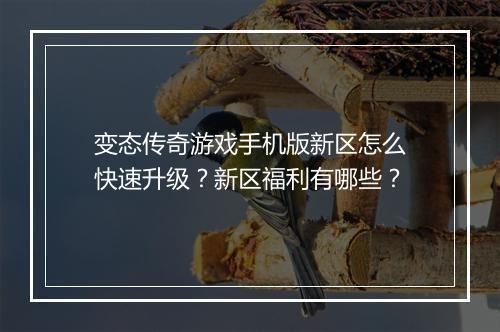 变态传奇游戏手机版新区怎么快速升级？新区福利有哪些？