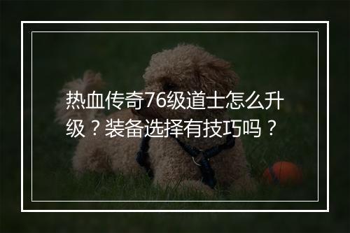 热血传奇76级道士怎么升级？装备选择有技巧吗？
