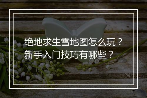 绝地求生雪地图怎么玩？新手入门技巧有哪些？