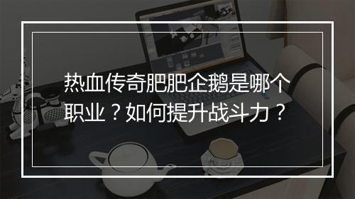 热血传奇肥肥企鹅是哪个职业？如何提升战斗力？
