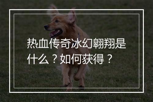 热血传奇冰幻翱翔是什么？如何获得？