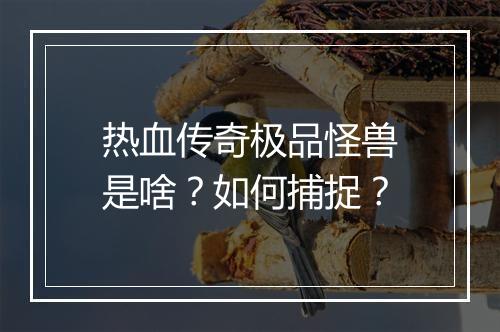 热血传奇极品怪兽是啥？如何捕捉？