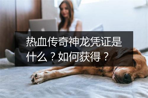 热血传奇神龙凭证是什么？如何获得？