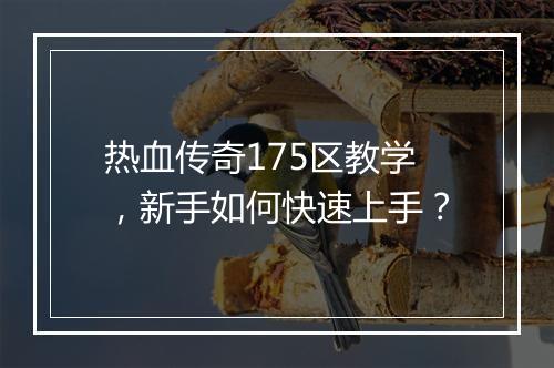 热血传奇175区教学，新手如何快速上手？