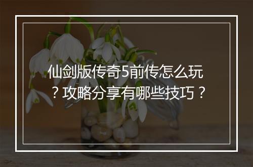 仙剑版传奇5前传怎么玩？攻略分享有哪些技巧？