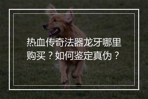 热血传奇法器龙牙哪里购买？如何鉴定真伪？