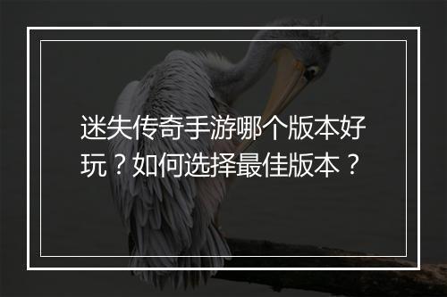 迷失传奇手游哪个版本好玩？如何选择最佳版本？