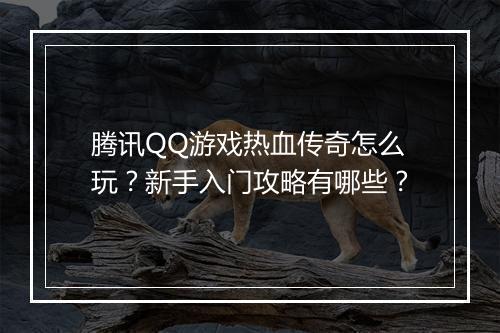 腾讯QQ游戏热血传奇怎么玩？新手入门攻略有哪些？