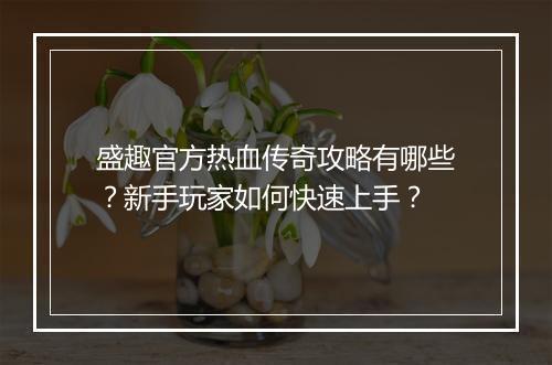 盛趣官方热血传奇攻略有哪些？新手玩家如何快速上手？