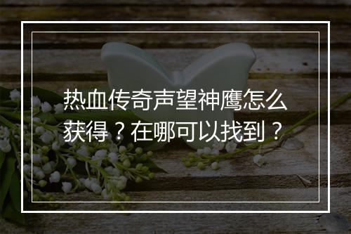 热血传奇声望神鹰怎么获得？在哪可以找到？