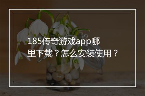 185传奇游戏app哪里下载？怎么安装使用？