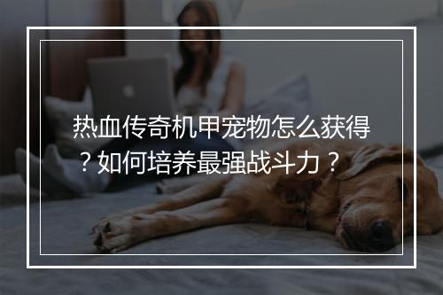 热血传奇机甲宠物怎么获得？如何培养最强战斗力？
