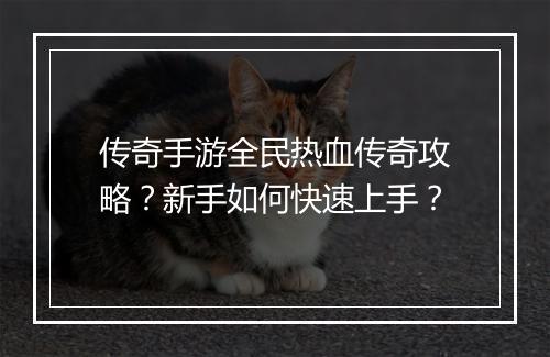 传奇手游全民热血传奇攻略？新手如何快速上手？