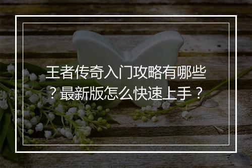 王者传奇入门攻略有哪些？最新版怎么快速上手？