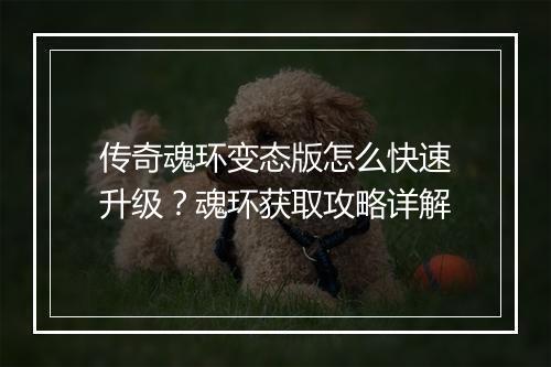 传奇魂环变态版怎么快速升级？魂环获取攻略详解